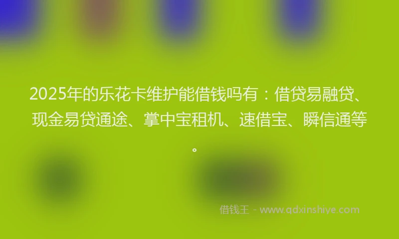 2025年的乐花卡维护能借钱吗有：借贷易融贷、现金易贷通途、掌中宝租机、速借宝、瞬信通等。