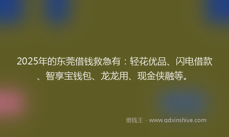 2025年的东莞借钱救急有：轻花优品、闪电借款、智享宝钱包、龙龙用、现金侠融等。