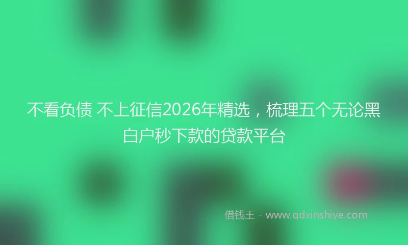 不看负债 不上征信2026年精选，梳理五个无论黑白户秒下款的贷款平台