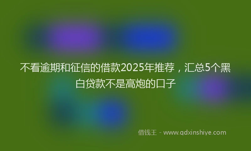 不看逾期和征信的借款2025年推荐，汇总5个黑白贷款不是高炮的口子