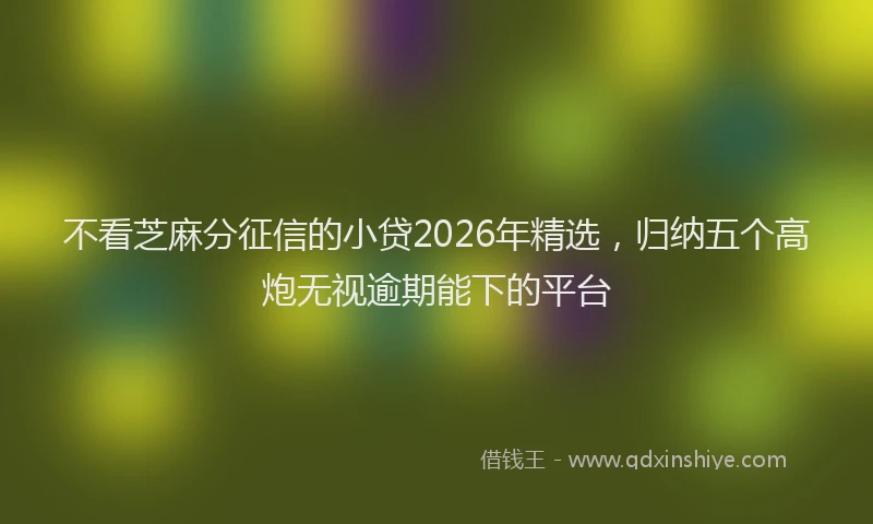 不看芝麻分征信的小贷2026年精选，归纳五个高炮无视逾期能下的平台
