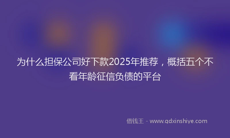 为什么担保公司好下款2025年推荐，概括五个不看年龄征信负债的平台