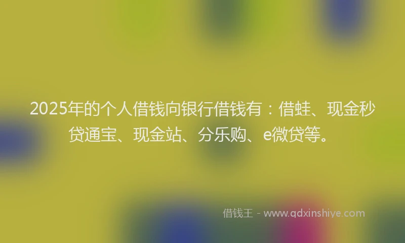 2025年的个人借钱向银行借钱有：借蛙、现金秒贷通宝、现金站、分乐购、e微贷等。