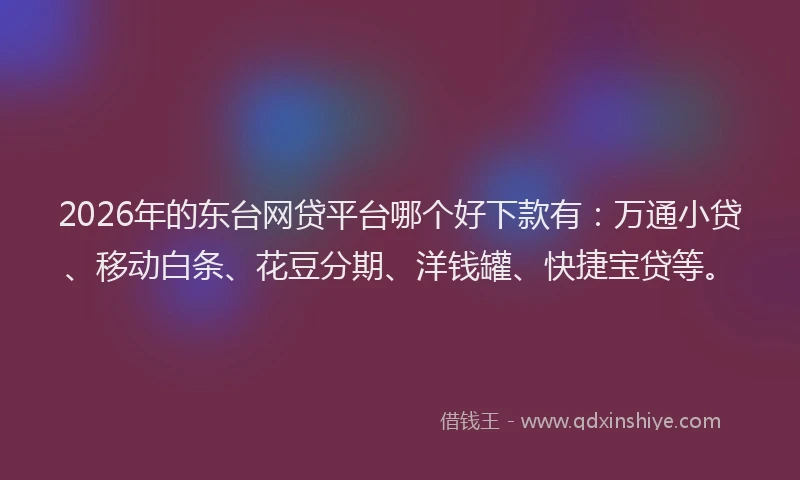 2026年的东台网贷平台哪个好下款有:万通小贷、移动白条、花豆分期、洋钱罐、快捷宝贷等。