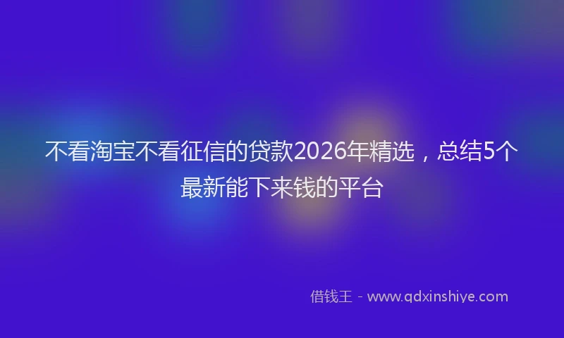 不看淘宝不看征信的贷款2026年精选，总结5个最新能下来钱的平台