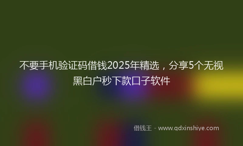 不要手机验证码借钱2025年精选，分享5个无视黑白户秒下款口子软件