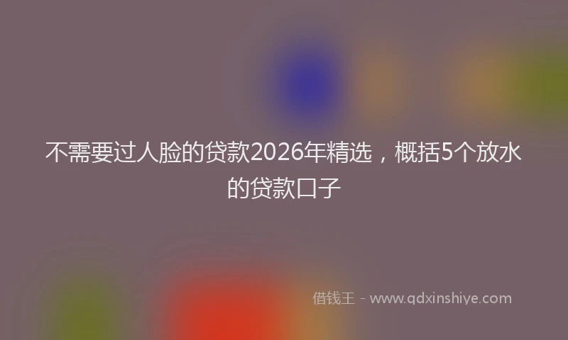 不需要过人脸的贷款2026年精选,概括5个放水的贷款口子
