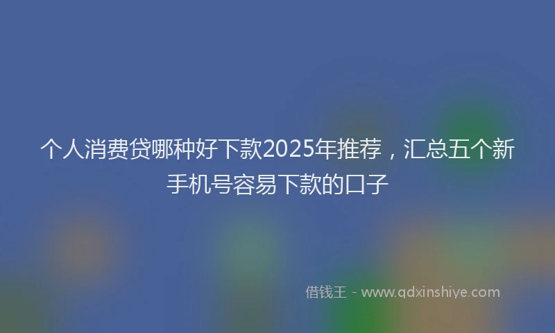 个人消费贷哪种好下款2025年推荐，汇总五个新手机号容易下款的口子