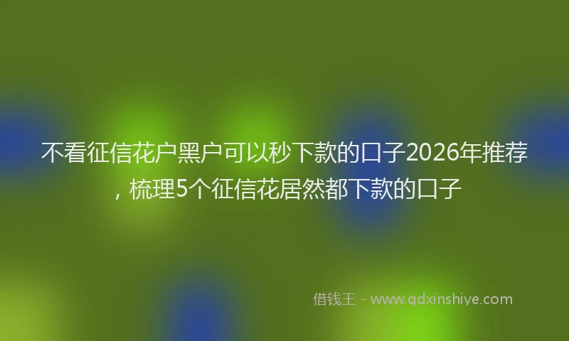 不看征信花户黑户可以秒下款的口子2026年推荐，梳理5个征信花居然都下款的口子