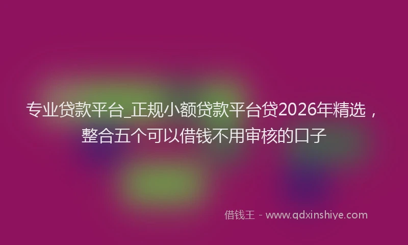 专业贷款平台_正规小额贷款平台贷2026年精选，整合五个可以借钱不用审核的口子