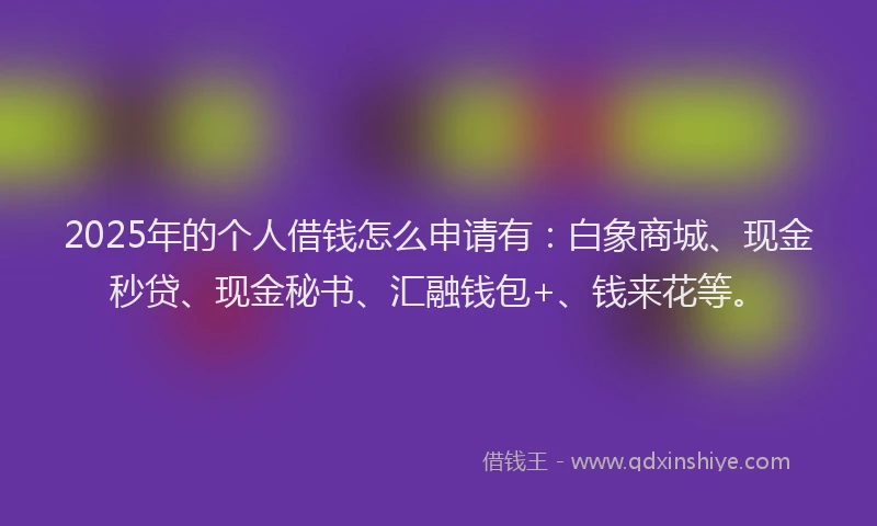 2025年的个人借钱怎么申请有：白象商城、现金秒贷、现金秘书、汇融钱包+、钱来花等。