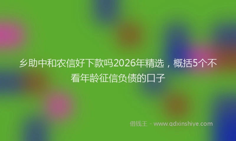 乡助中和农信好下款吗2026年精选，概括5个不看年龄征信负债的口子