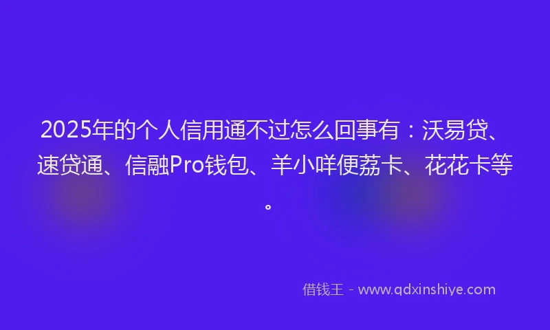 2025年的个人信用通不过怎么回事有：沃易贷、速贷通、信融Pro钱包、羊小咩便荔卡、花花卡等。