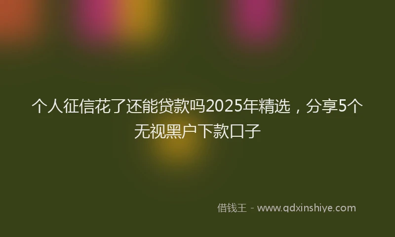 个人征信花了还能贷款吗2025年精选，分享5个无视黑户下款口子