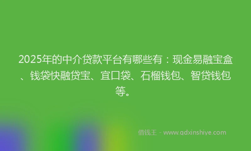 2025年的中介贷款平台有哪些有:现金易融宝盒、钱袋快融贷宝、宜口袋、石榴钱包、智贷钱包等。
