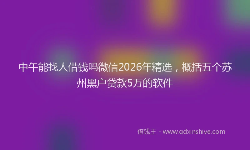 中午能找人借钱吗微信2026年精选，概括五个苏州黑户贷款5万的软件