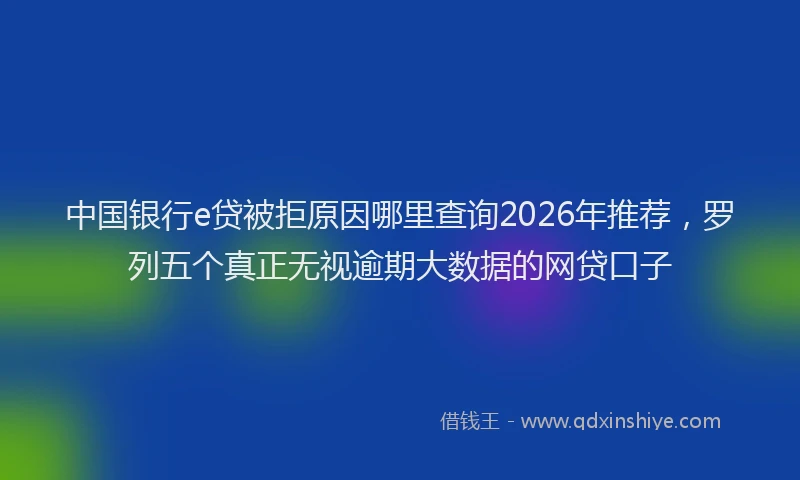 中国银行e贷被拒原因哪里查询2026年推荐,罗列五个真正无视逾期大数据的网贷口子