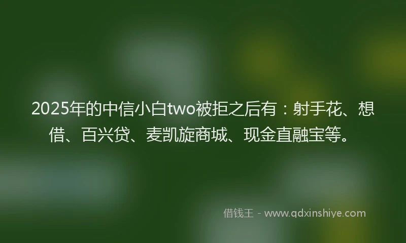 2025年的中信小白two被拒之后有：射手花、想借、百兴贷、麦凯旋商城、现金直融宝等。