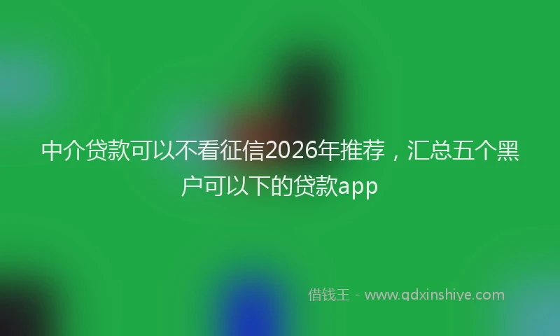 中介贷款可以不看征信2026年推荐，汇总五个黑户可以下的贷款app