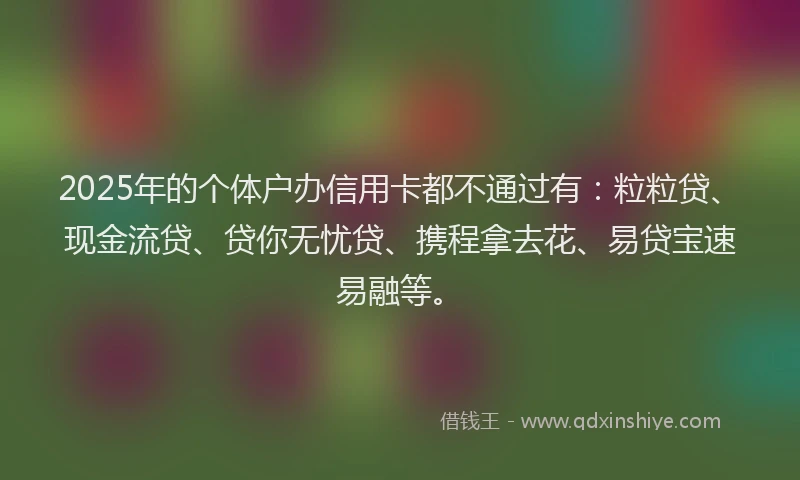 2025年的个体户办信用卡都不通过有：粒粒贷、现金流贷、贷你无忧贷、携程拿去花、易贷宝速易融等。