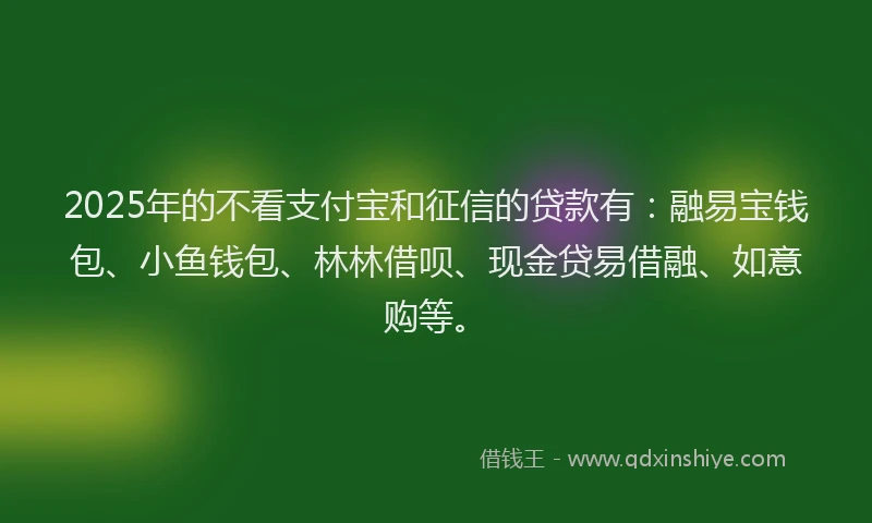 2025年的不看支付宝和征信的贷款有:融易宝钱包、小鱼钱包、林林借呗、现金贷易借融、如意购等。