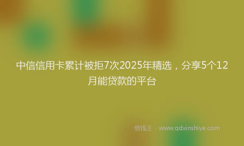 中信信用卡累计被拒7次2025年精选，分享5个12月能贷款的平台