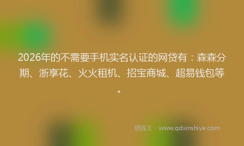 2026年的不需要手机实名认证的网贷有：森森分期、浙享花、火火租机、招宝商城、超易钱包等。