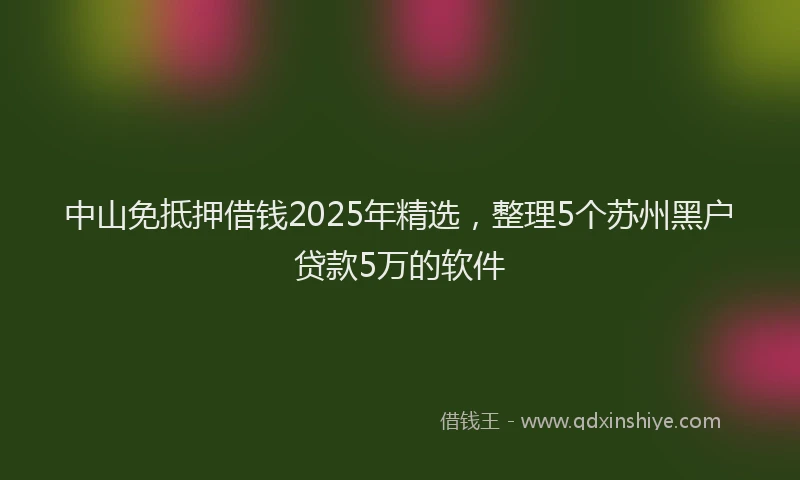 中山免抵押借钱2025年精选，整理5个苏州黑户贷款5万的软件