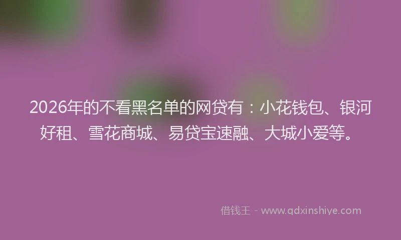 2026年的不看黑名单的网贷有：小花钱包、银河好租、雪花商城、易贷宝速融、大城小爱等。