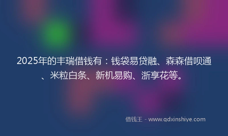 2025年的丰瑞借钱有:钱袋易贷融、森森借呗通、米粒白条、新机易购、浙享花等。