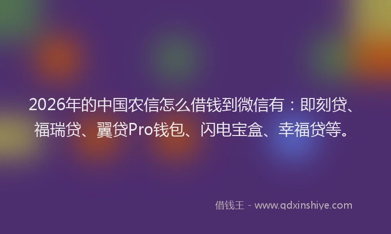 2026年的中国农信怎么借钱到微信有:即刻贷、福瑞贷、翼贷Pro钱包、闪电宝盒、幸福贷等。