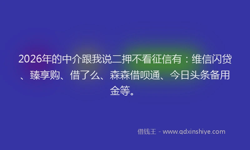 2026年的中介跟我说二押不看征信有:维信闪贷、臻享购、借了么、森森借呗通、今日头条备用金等。