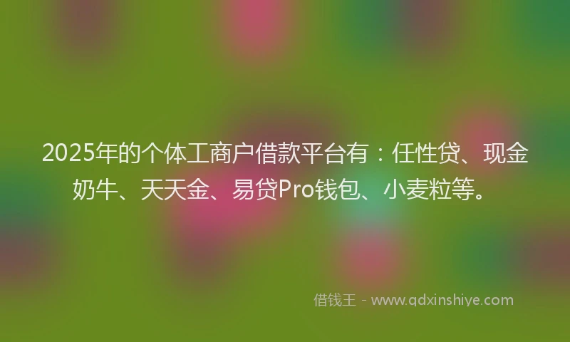 2025年的个体工商户借款平台有：任性贷、现金奶牛、天天金、易贷Pro钱包、小麦粒等。