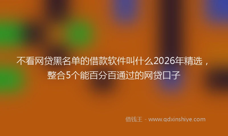 不看网贷黑名单的借款软件叫什么2026年精选，整合5个能百分百通过的网贷口子