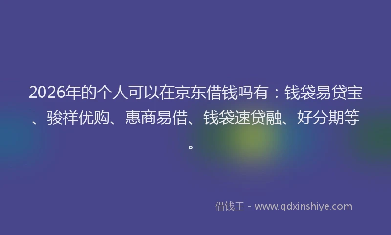2026年的个人可以在京东借钱吗有：钱袋易贷宝、骏祥优购、惠商易借、钱袋速贷融、好分期等。
