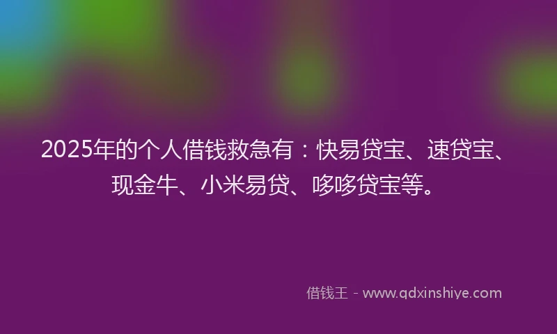 2025年的个人借钱救急有：快易贷宝、速贷宝、现金牛、小米易贷、哆哆贷宝等。
