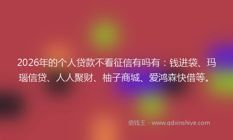2026年的个人贷款不看征信有吗有：钱进袋、玛瑙信贷、人人聚财、柚子商城、爱鸿森快借等。