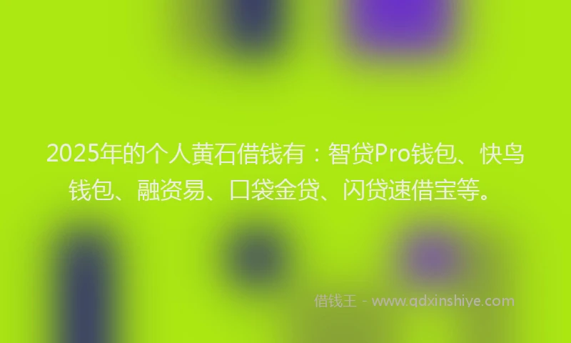 2025年的个人黄石借钱有:智贷Pro钱包、快鸟钱包、融资易、口袋金贷、闪贷速借宝等。