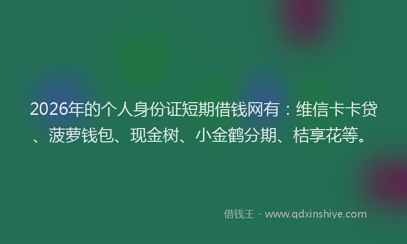 2026年的个人身份证短期借钱网有：维信卡卡贷、菠萝钱包、现金树、小金鹤分期、桔享花等。