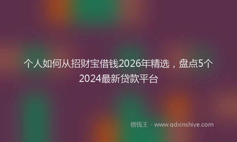 个人如何从招财宝借钱2026年精选，盘点5个2024最新贷款平台