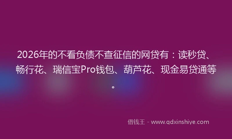 2026年的不看负债不查征信的网贷有：读秒贷、畅行花、瑞信宝Pro钱包、葫芦花、现金易贷通等。