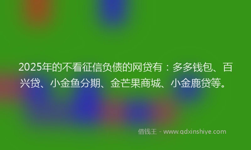 2025年的不看征信负债的网贷有：多多钱包、百兴贷、小金鱼分期、金芒果商城、小金鹿贷等。
