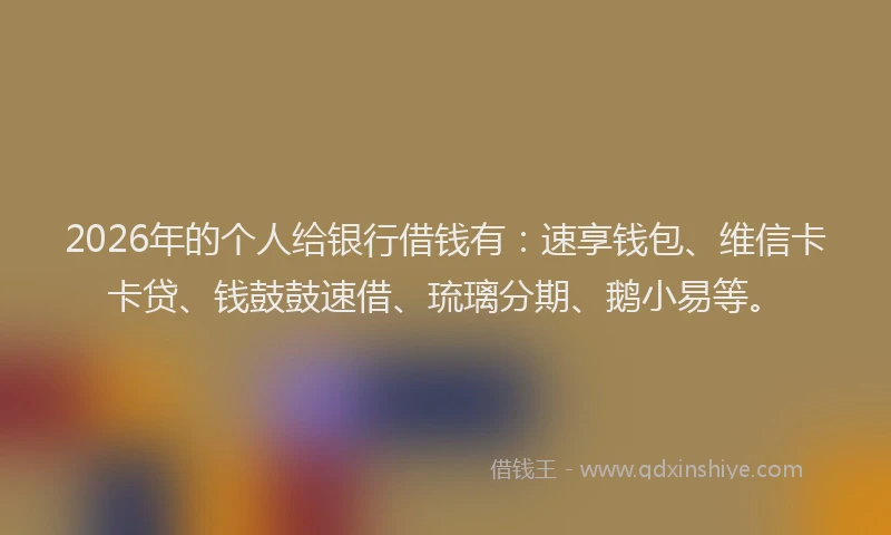 2026年的个人给银行借钱有：速享钱包、维信卡卡贷、钱鼓鼓速借、琉璃分期、鹅小易等。
