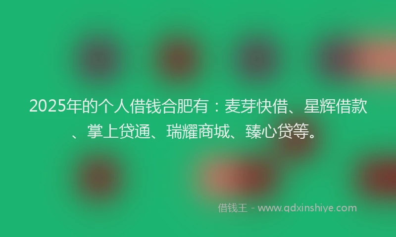 2025年的个人借钱合肥有：麦芽快借、星辉借款、掌上贷通、瑞耀商城、臻心贷等。