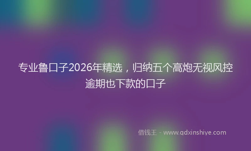 专业鲁口子2026年精选，归纳五个高炮无视风控逾期也下款的口子