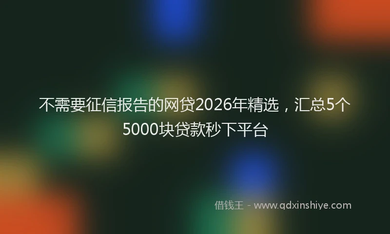不需要征信报告的网贷2026年精选，汇总5个5000块贷款秒下平台