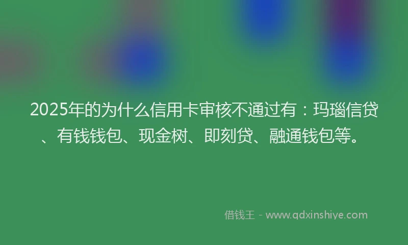 2025年的为什么信用卡审核不通过有：玛瑙信贷、有钱钱包、现金树、即刻贷、融通钱包等。