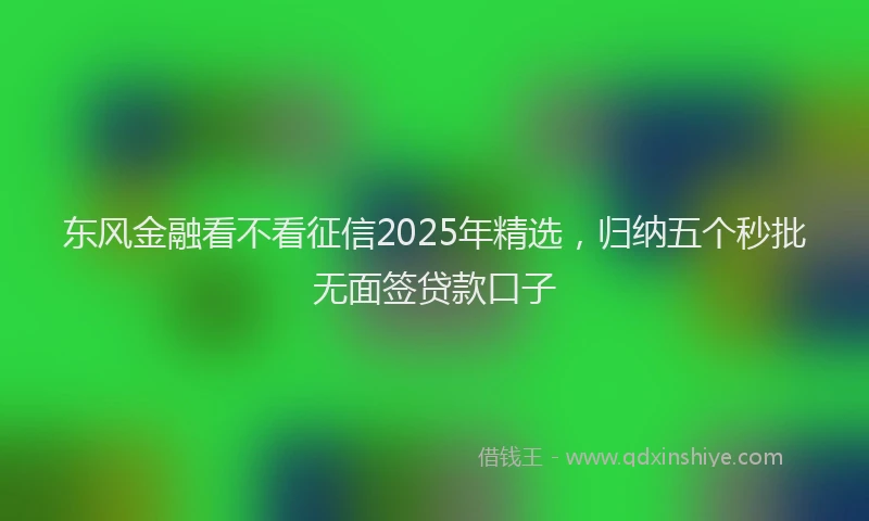 东风金融看不看征信2025年精选,归纳五个秒批无面签贷款口子
