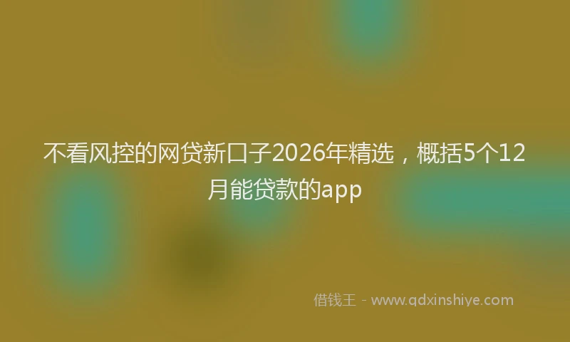 不看风控的网贷新口子2026年精选，概括5个12月能贷款的app