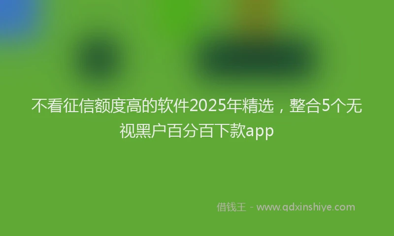 不看征信额度高的软件2025年精选，整合5个无视黑户百分百下款app